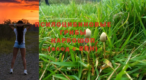 эйфоретик Мегион